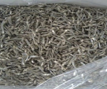 Xnip2566-08-08_17-59-11.jpg - DRY BOILED ANCHOVY | https://chatchaseafoods.com