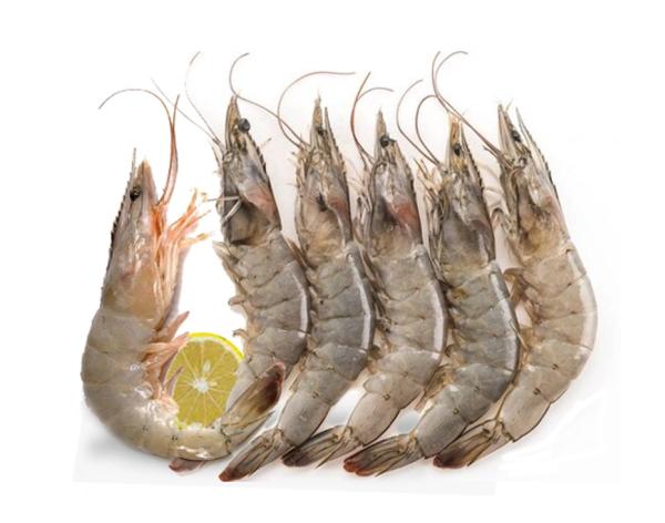 VANNAMEI SHRIMP - https://chatchaseafoods.com