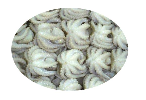 FROZEN SINGLE SKIN WHOLE CLEANED - https://chatchaseafoods.com