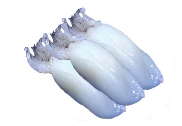 FROZEN SQUID TENTACLE WHOLE CLEANED - https://chatchaseafoods.com