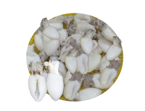 FROZEN BABY CUTTLEFISH WHOLE CLEANED - https://chatchaseafoods.com