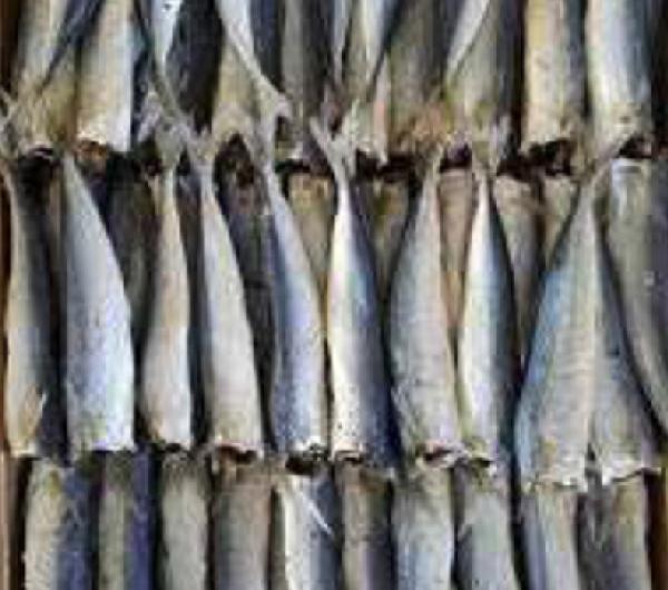 DRIED ROUND SCAD BOILED, HEAD LESS - https://chatchaseafoods.com