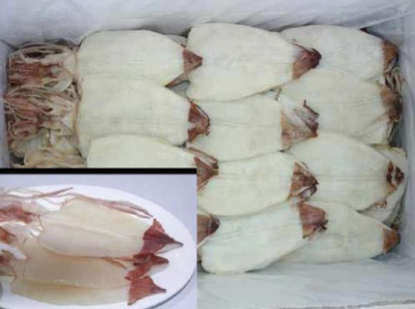 Dried Squid: A Delicious and Nutritious Snack - https://chatchaseafoods.com