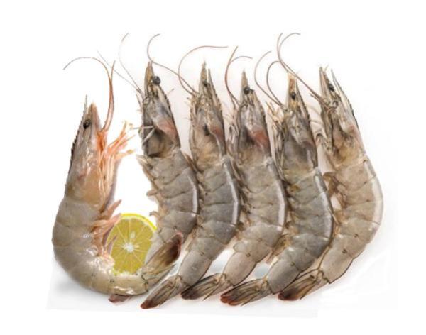 Frozen Shrimp: A versatile and convenient ingredient - https://chatchaseafoods.com